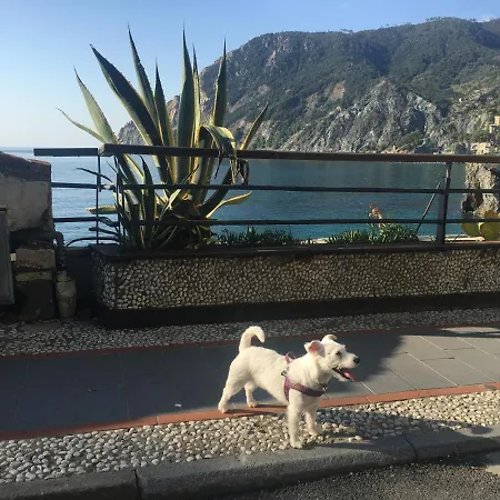 Le Cinque Vele ***** Cinque Terre Monterosso al Mare